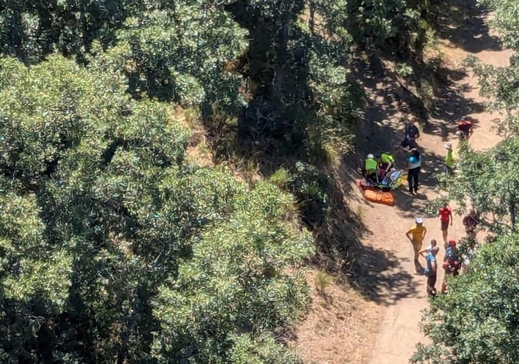 Pista forestal dónde fue rescatada la ciclista.