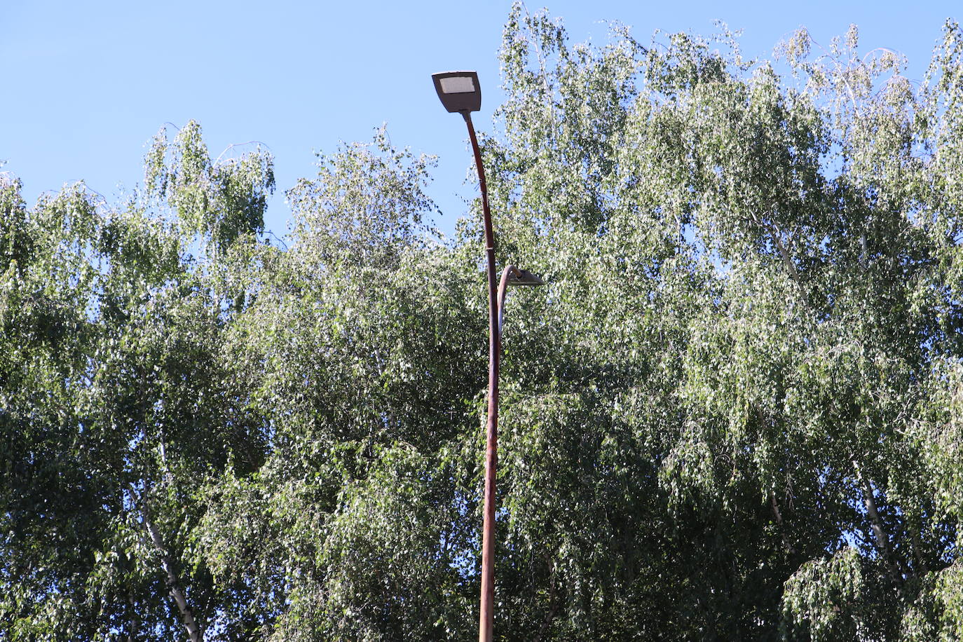 Las seis farolas de Lancia