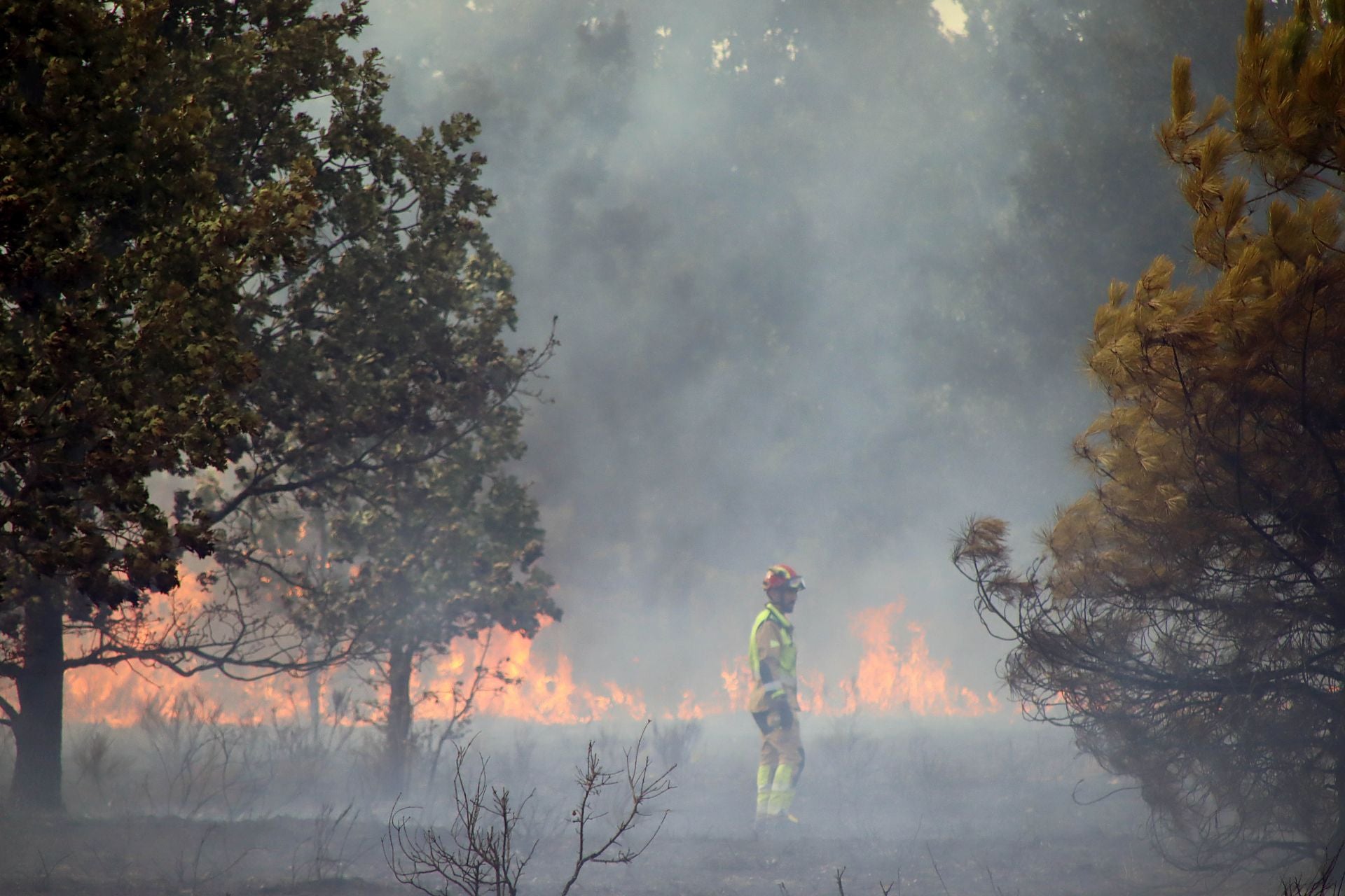 Incendio en Valverde de La Virgen