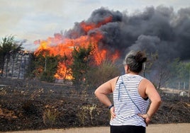 El incendio en La Aldea de la Valdoncina que llegó a estar en nivel 2.