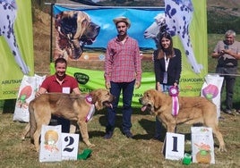 Mastines ganadores en el campeonato celebrado en San Emiliano.