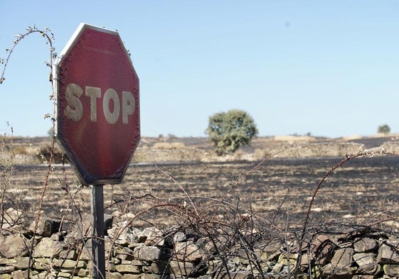 Zona quemada tras el incendio en Castrillo de los Polvazares.