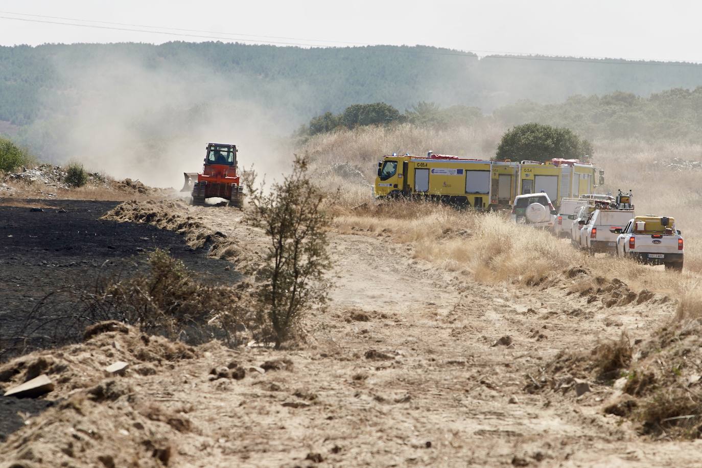 El incendio forestal de Castrillo de los Polvazares (León) baja a nivel 1