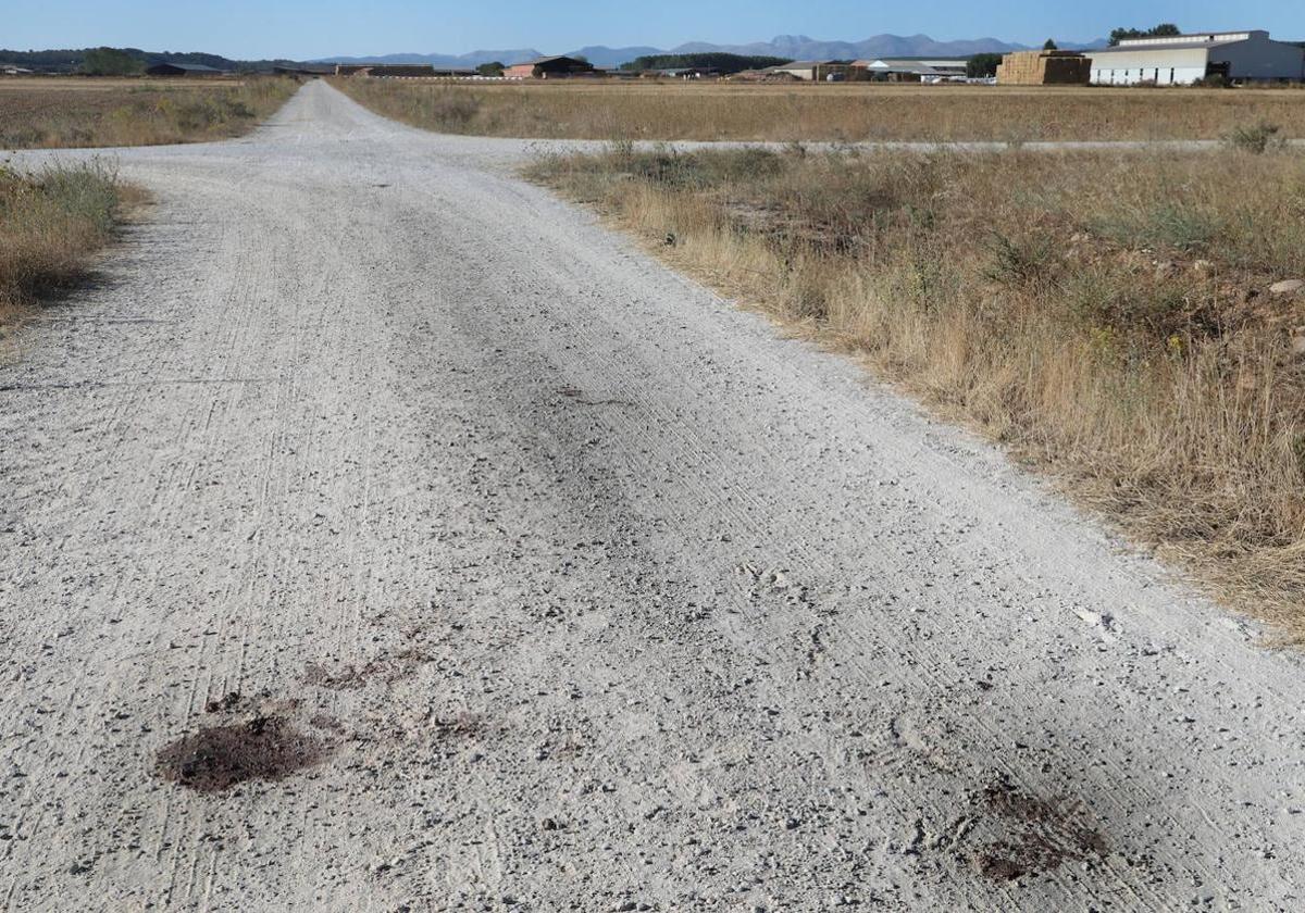 Camino rural en el que Justiniano Calvo sufrió el ataque mortal del animal.