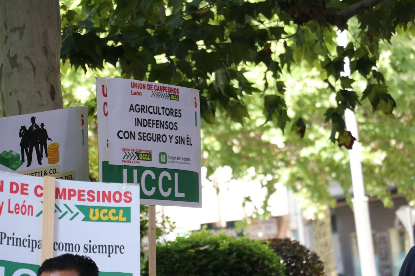 Un cartel denuncia la indefensión de los agricultores «con seguor o sin él».