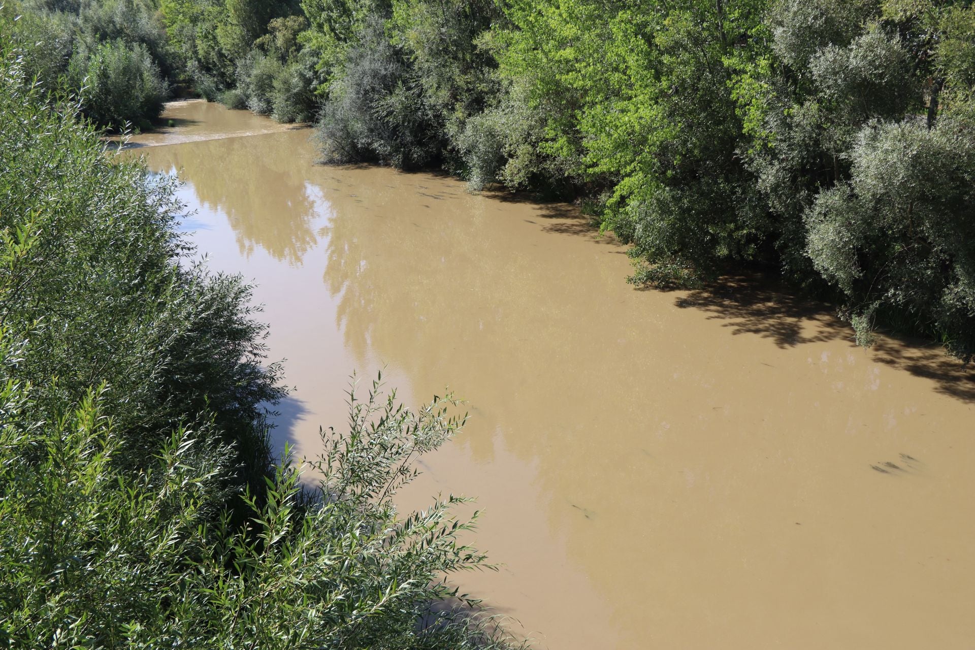 Lluvias llenan el río Bernesga y aumentan su caudal