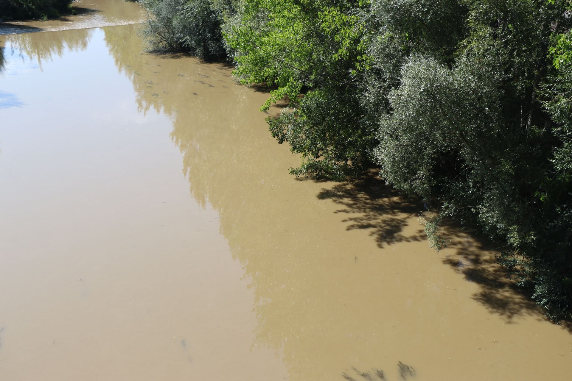 Lluvias llenan el río Bernesga y aumentan su caudal