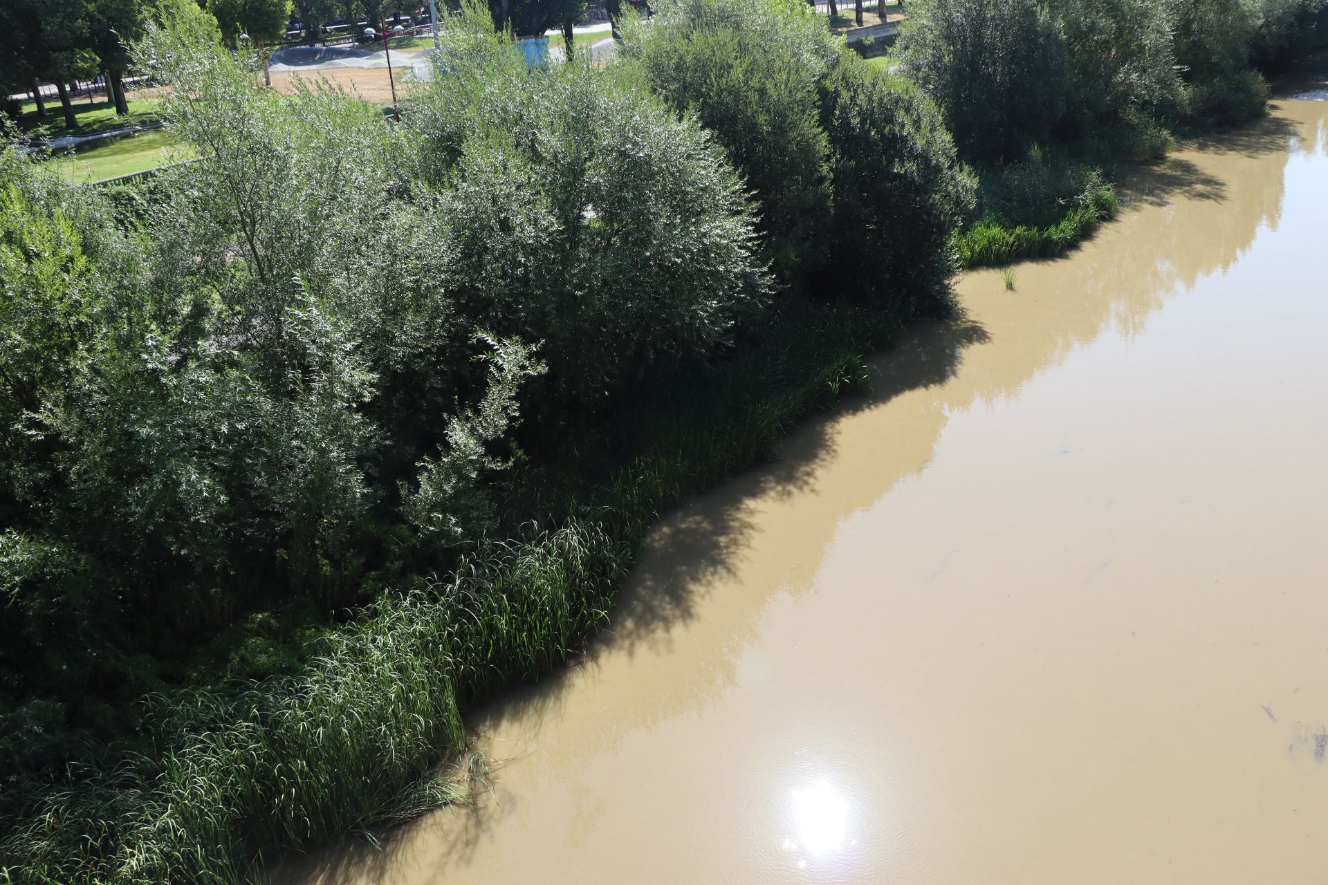 Lluvias llenan el río Bernesga y aumentan su caudal