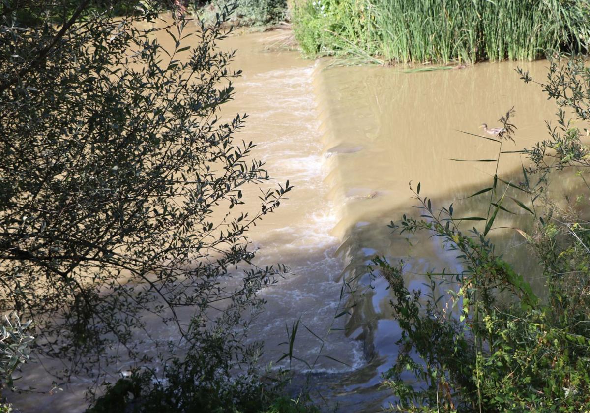 Lluvias llenan el río Bernesga y aumentan su caudal