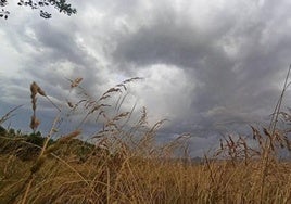 Cielos nubosos y bajada de mínimas este domingo en León