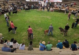 Recinto donde se celebró el concurso.