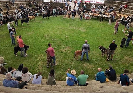 Recinto donde se celebró el concurso.