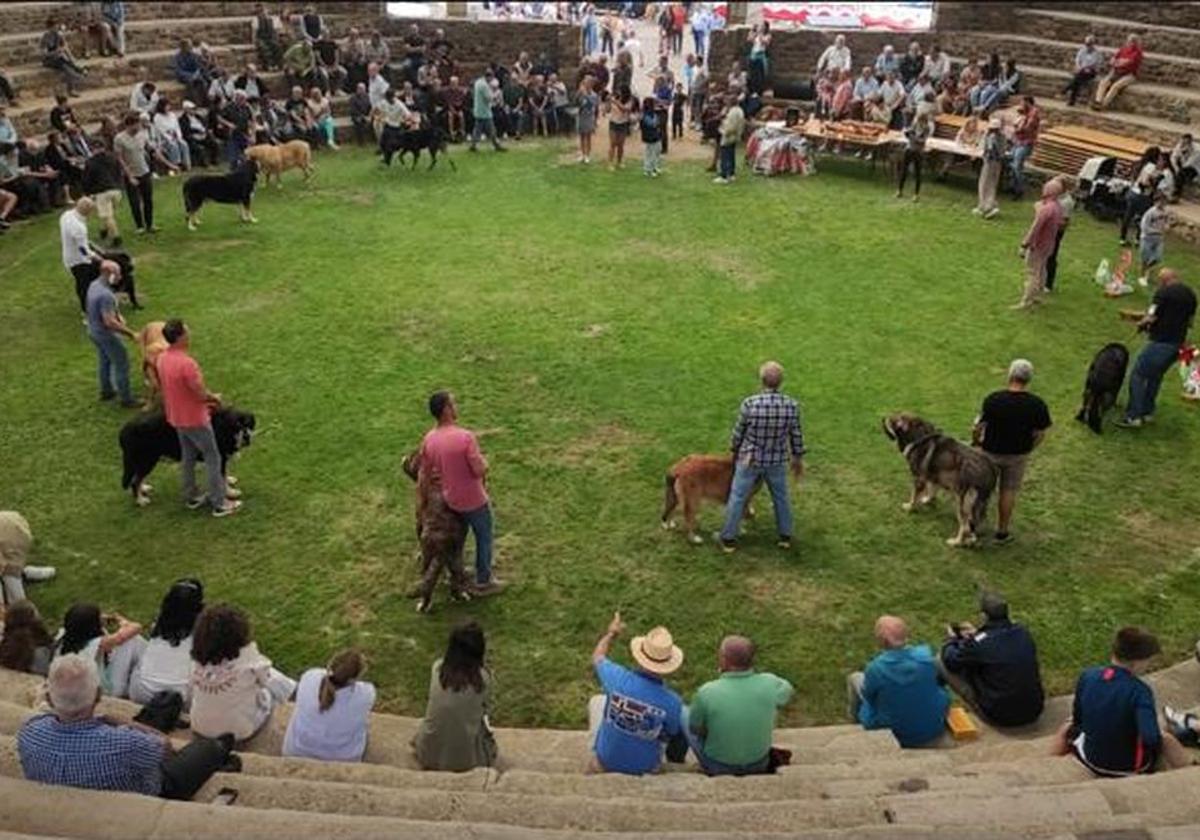 Recinto donde se celebró el concurso.