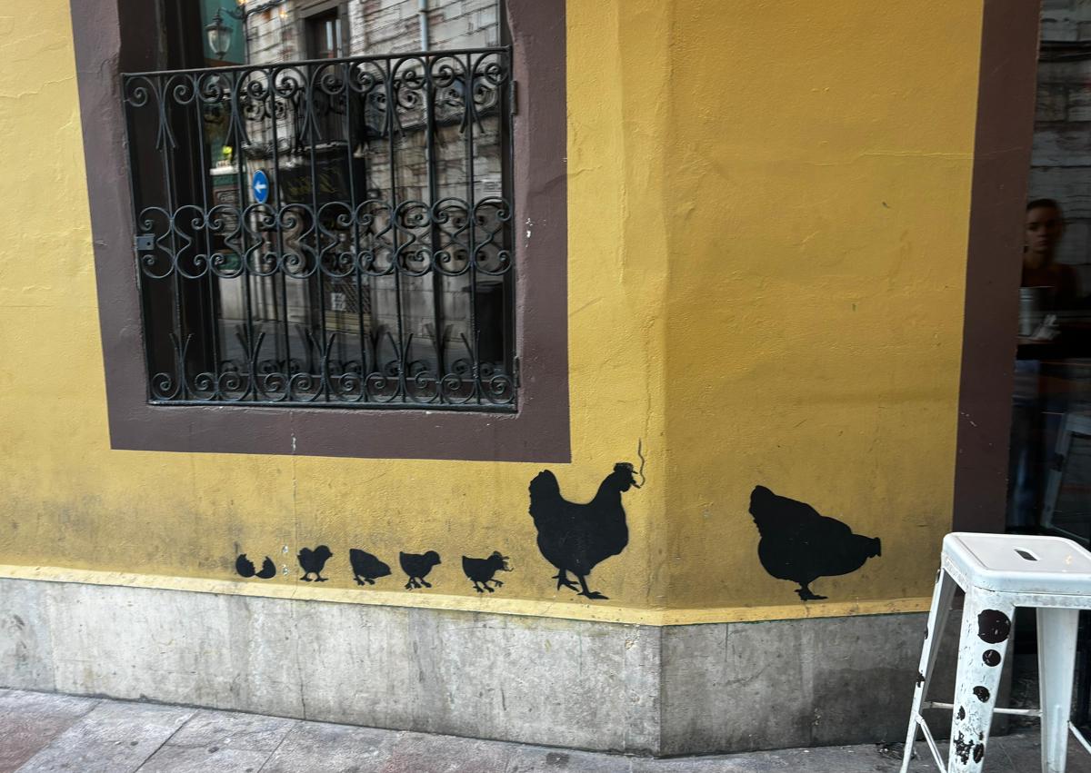 Imagen secundaria 1 - La exótica fauna urbana oculta en las calles de León