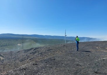 Más de 450 hectáreas afectadas y 10 kilómetros de perímetro en un incendio intencionado