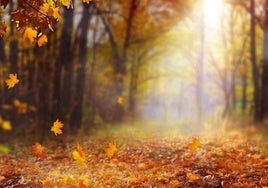 ¿Cuándo empieza el otoño en León?