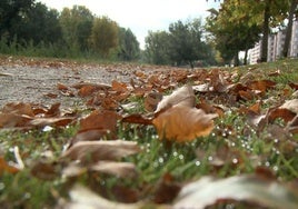 El otoño llega «cálido» y con «incertidumbre» sobre las precipitaciones en León