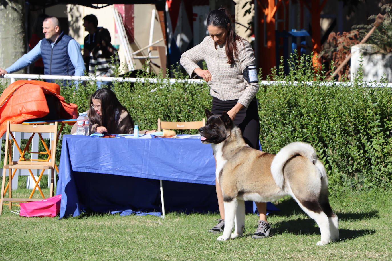 Las mejores imágenes de la XXXI Exposición Nacional Canina