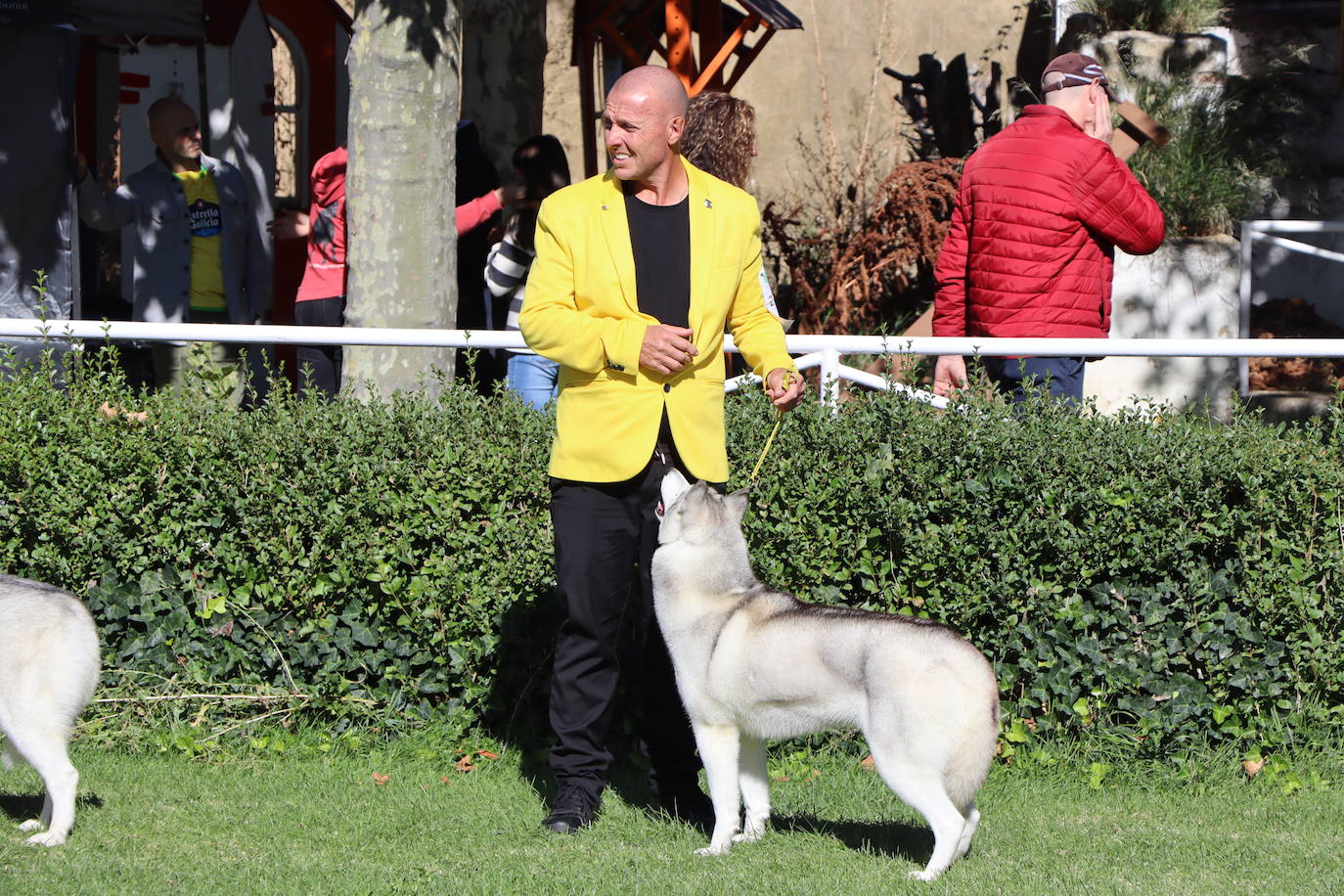 Las mejores imágenes de la XXXI Exposición Nacional Canina