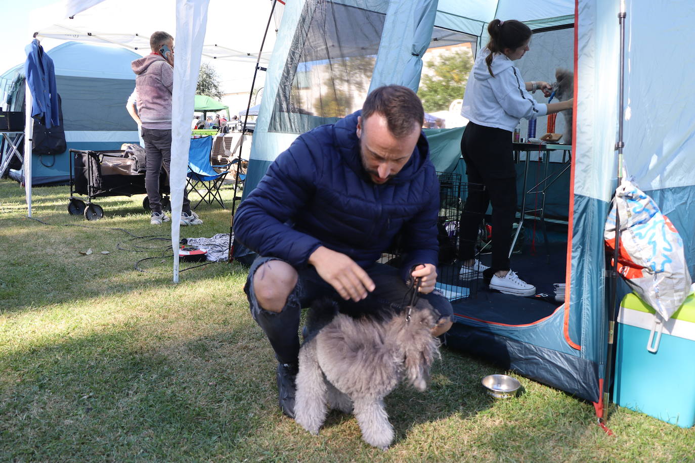 Las mejores imágenes de la XXXI Exposición Nacional Canina