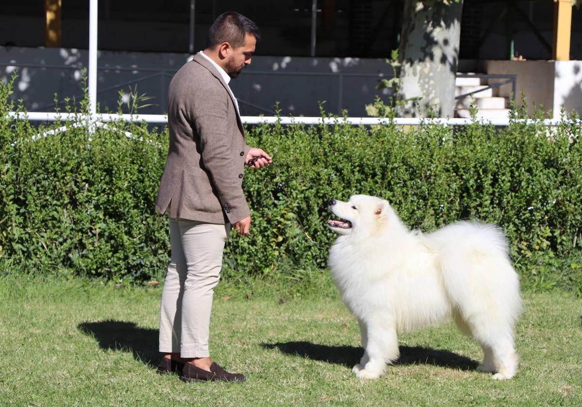 Imagen de la XXXI Exposición Nacional Canina de León.