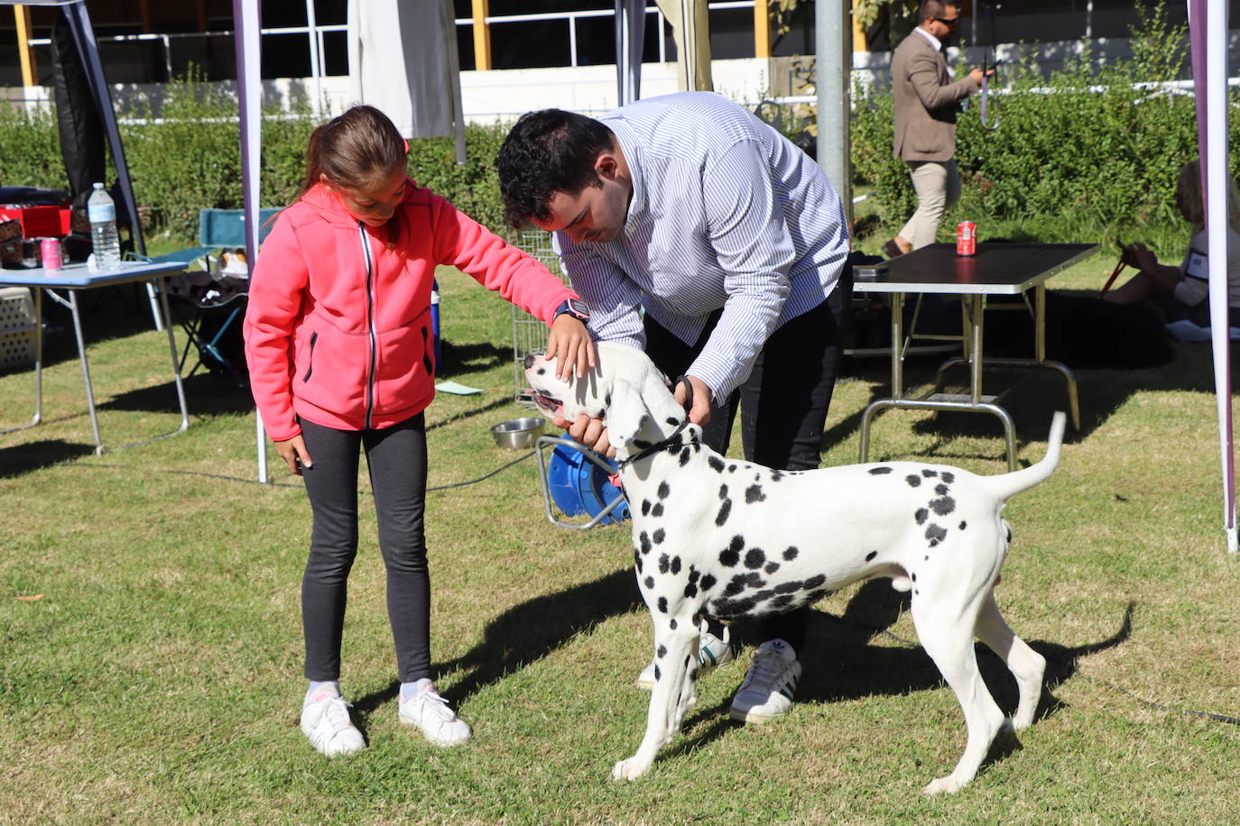 Las mejores imágenes de la XXXI Exposición Nacional Canina