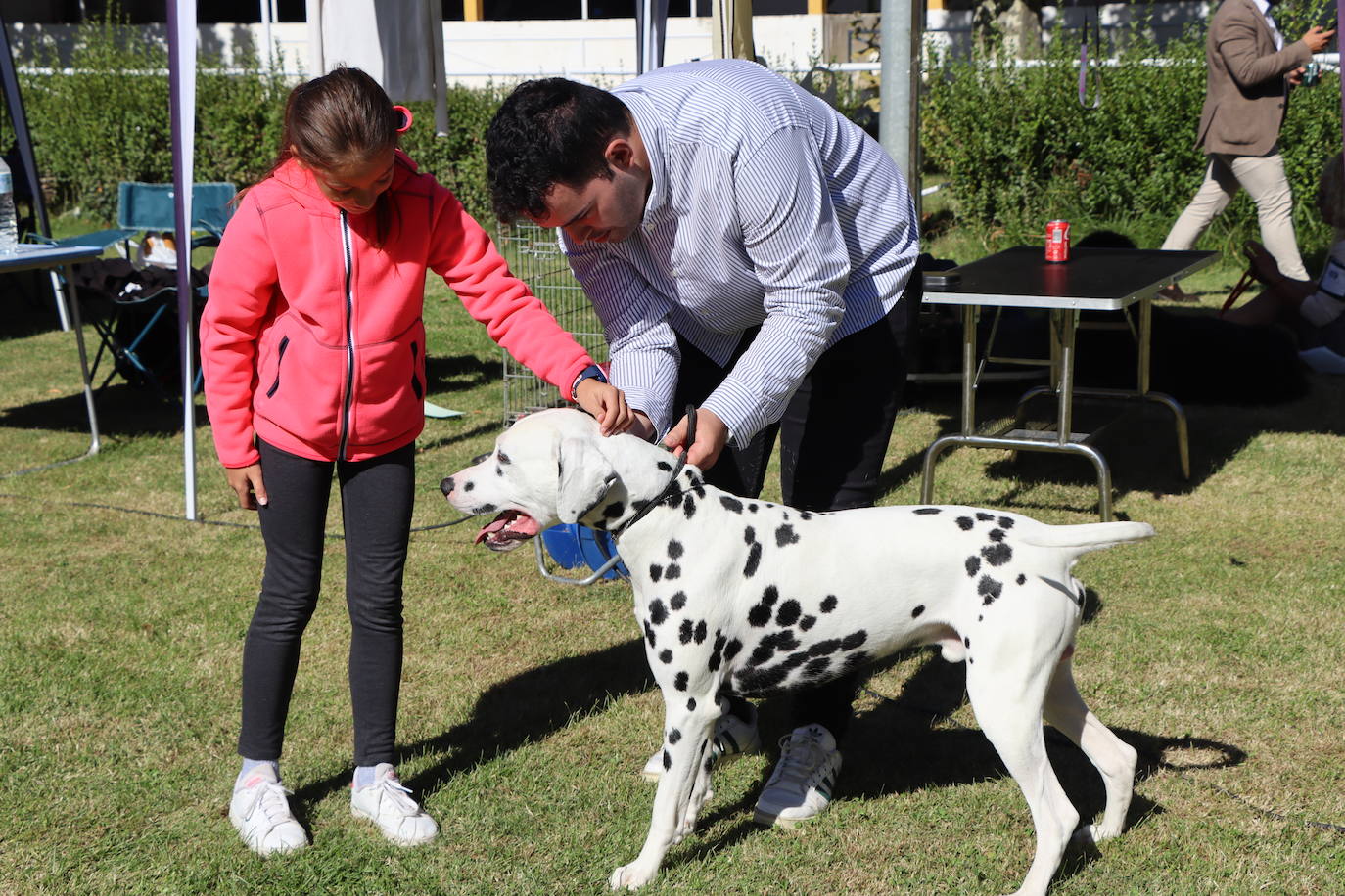 Las mejores imágenes de la XXXI Exposición Nacional Canina