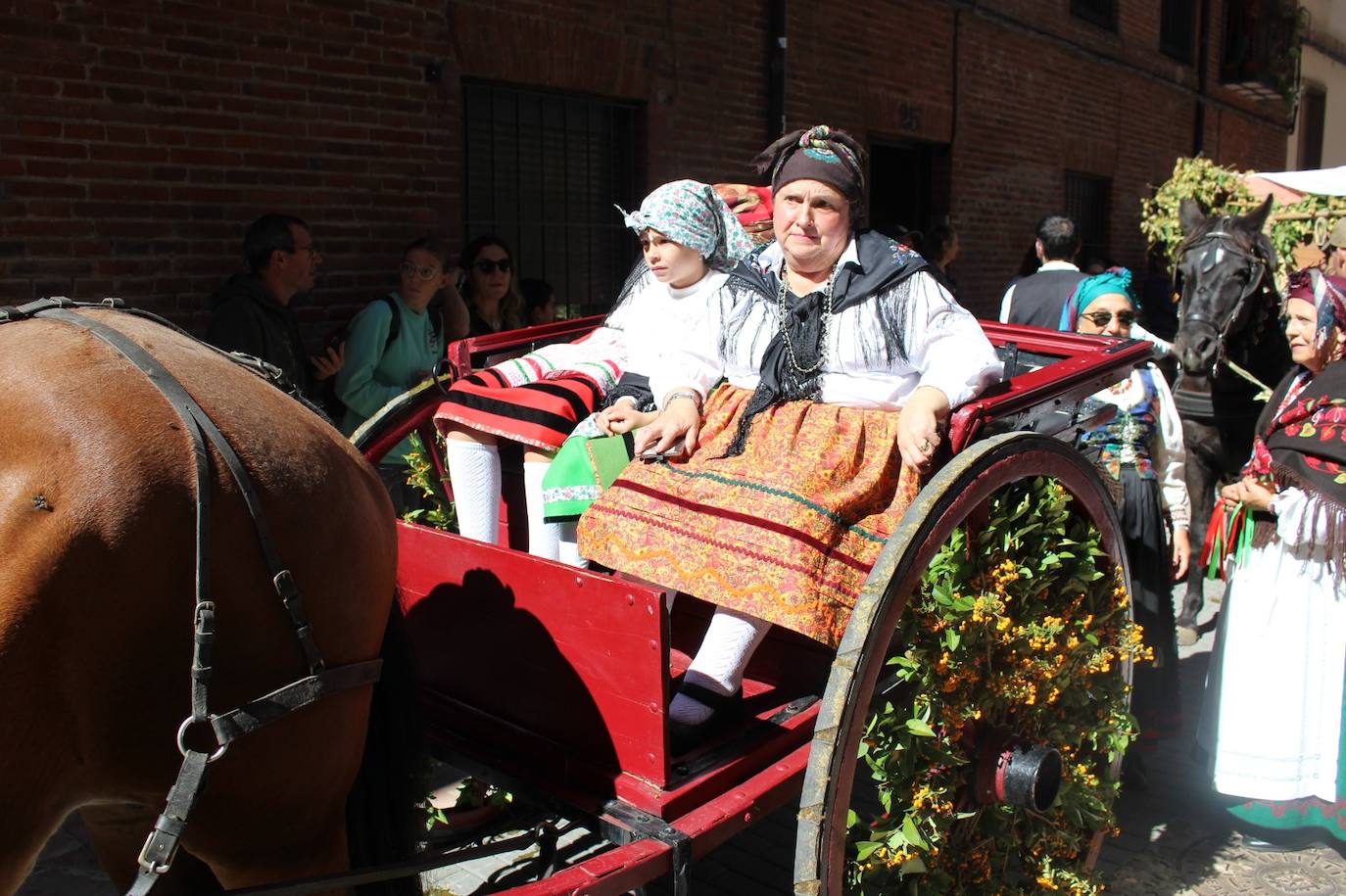 Todas las imágenes del desfile de carros engalanados