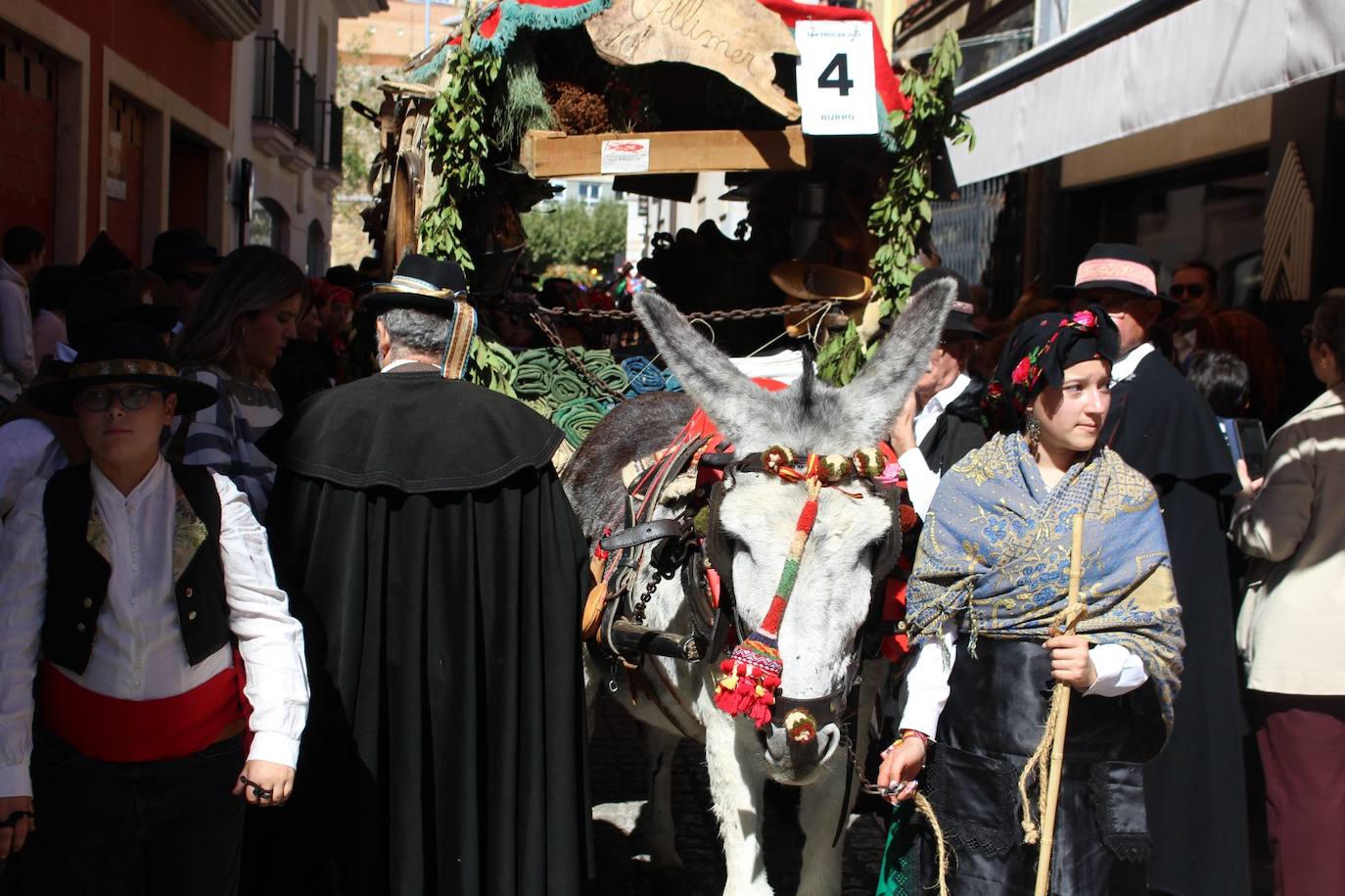 Todas las imágenes del desfile de carros engalanados