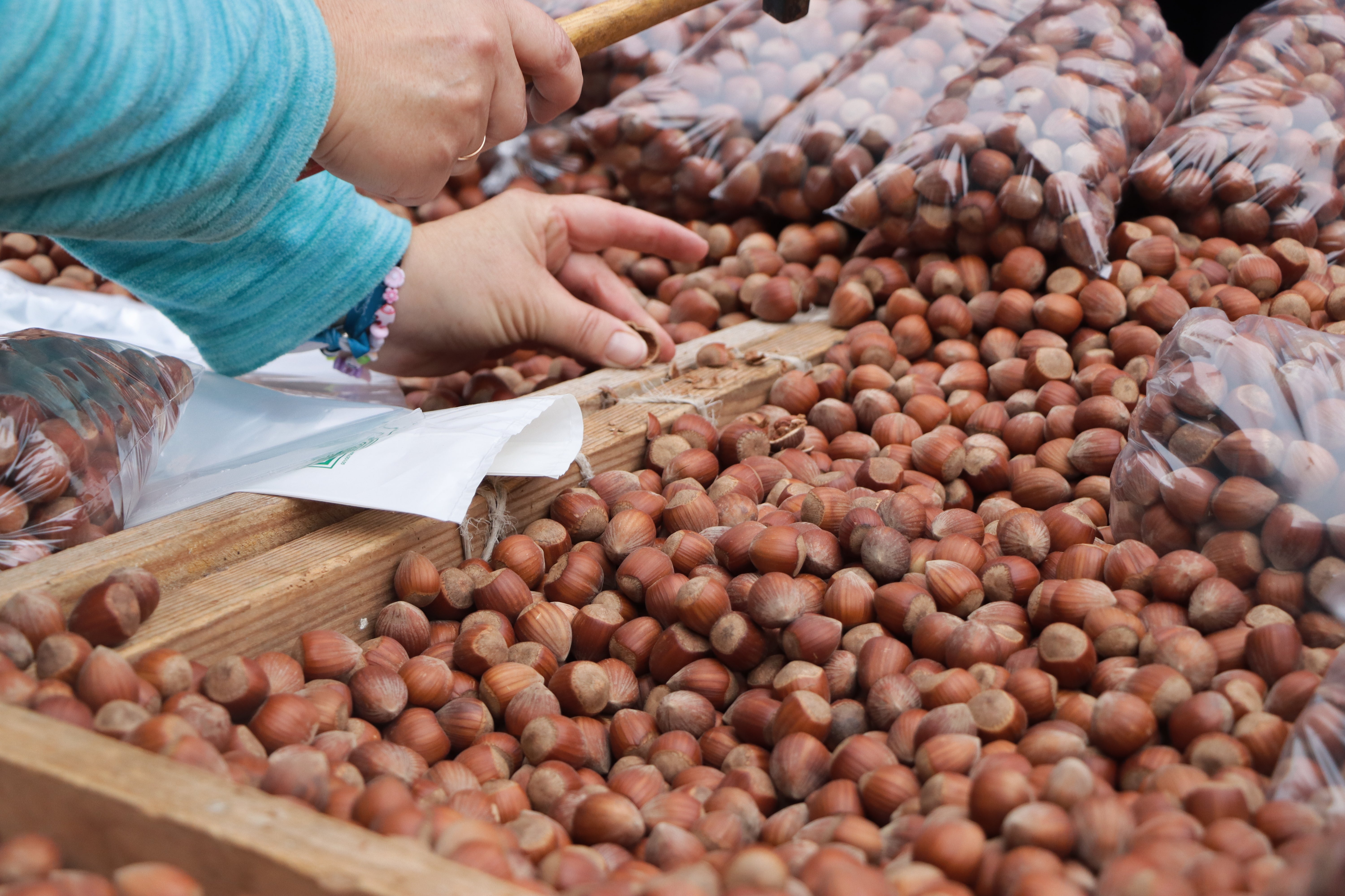 Tradición y folclore en la romería de San Froilán