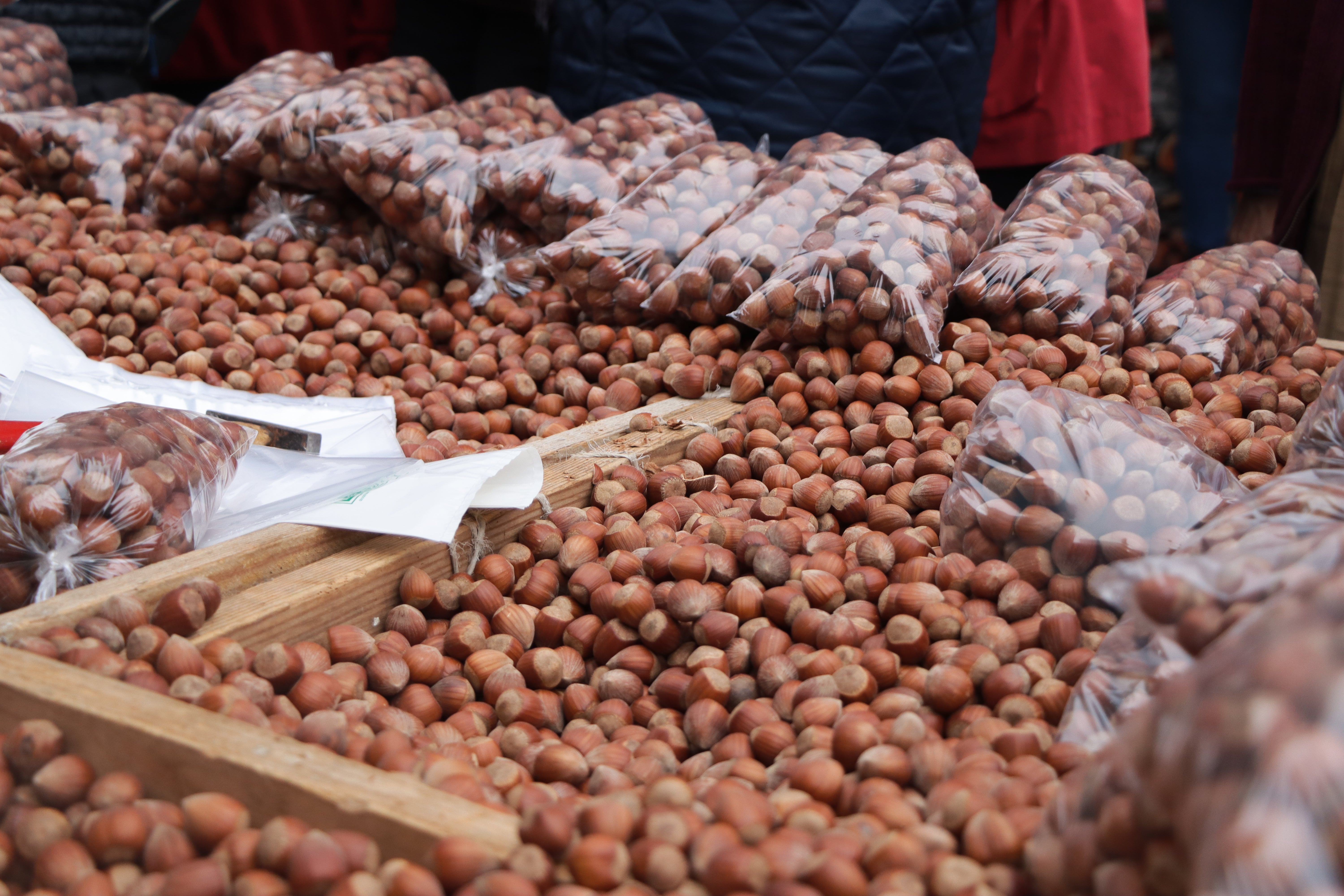 Tradición y folclore en la romería de San Froilán