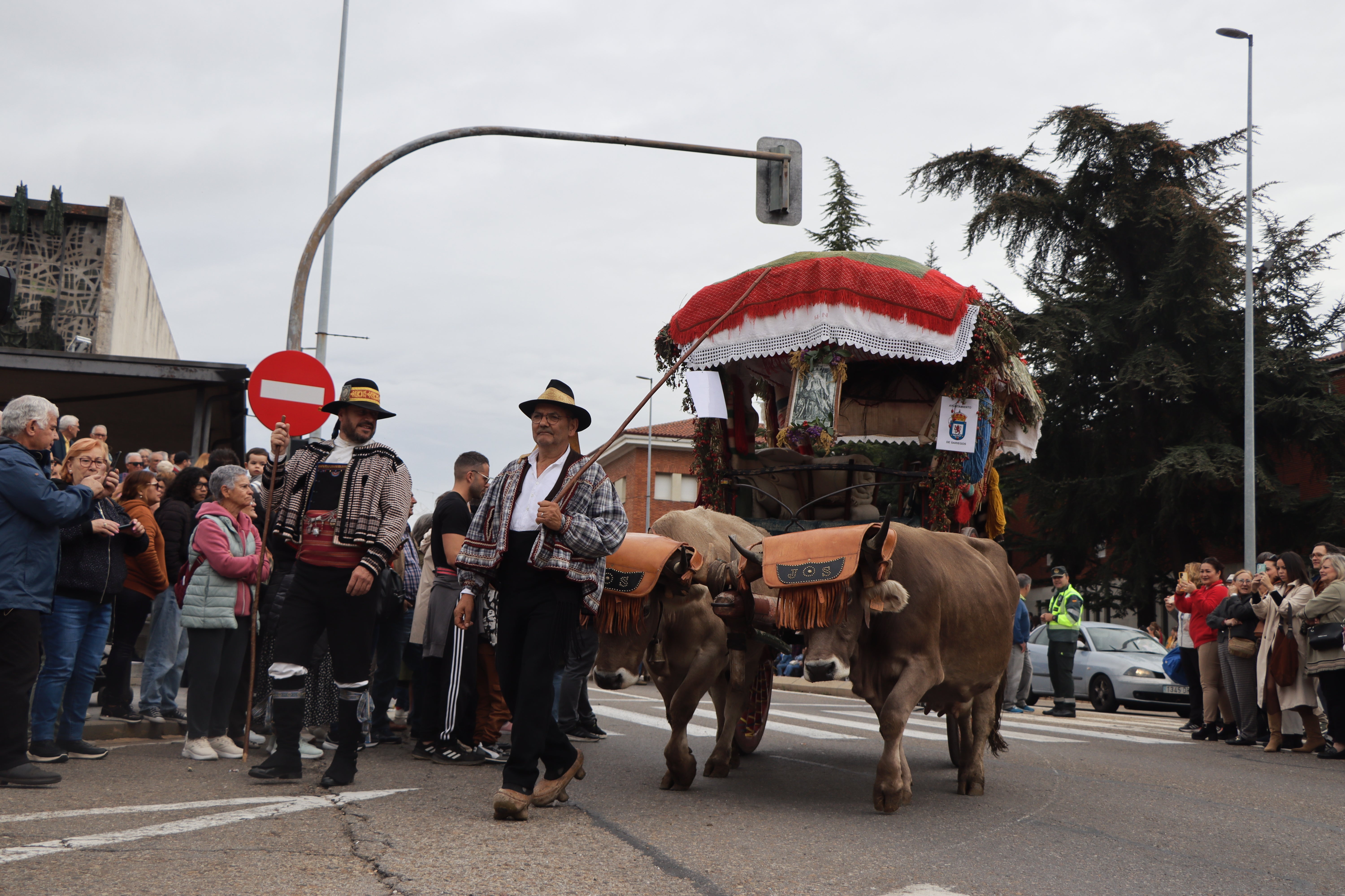 Los carros engalanados en la romería de San Froilán