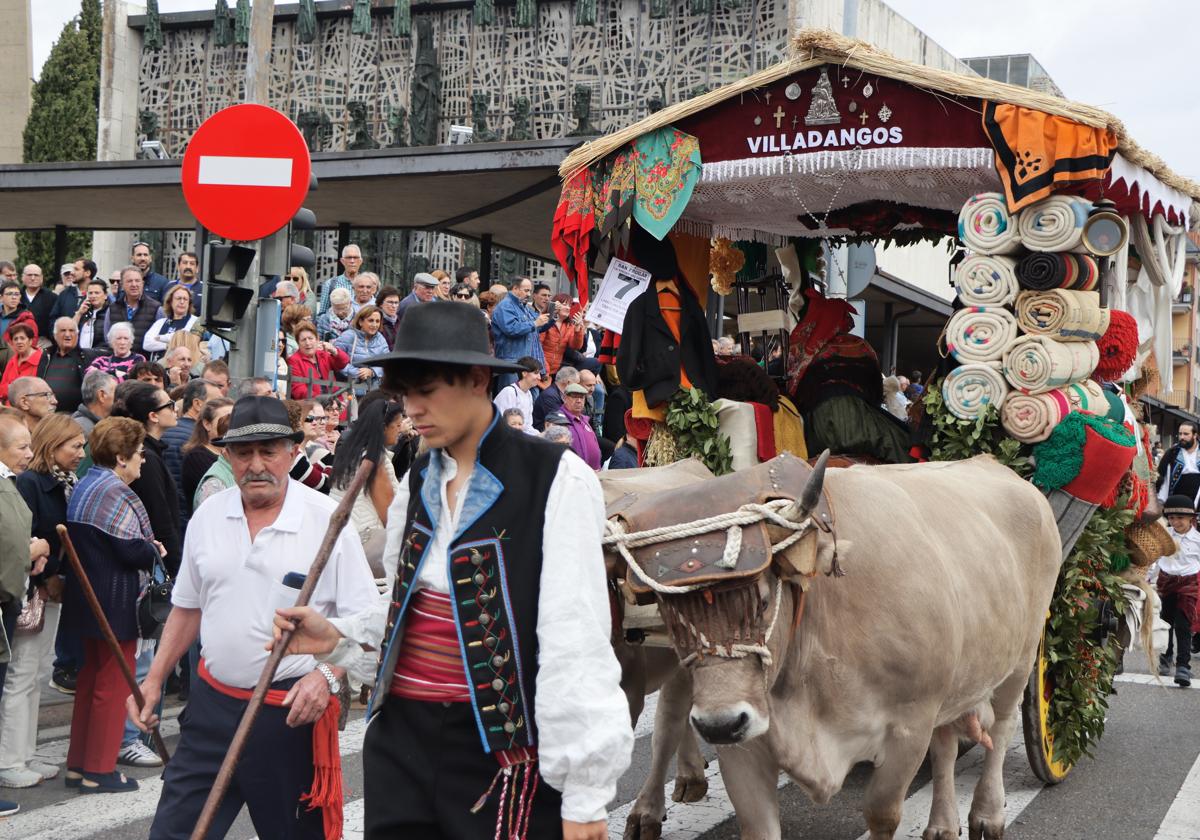 Los carros engalanados en la romería de San Froilán