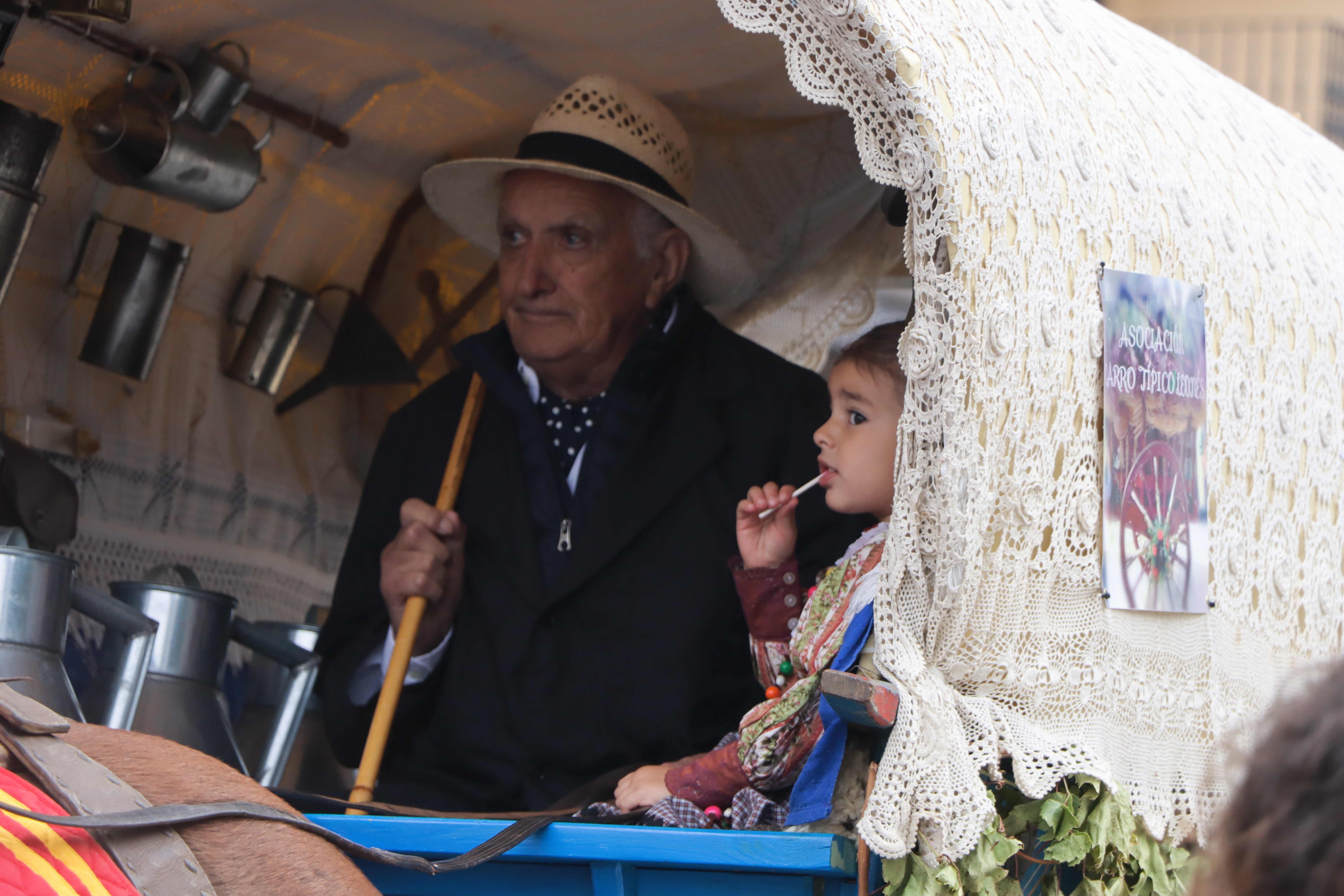 Los carros engalanados en la romería de San Froilán