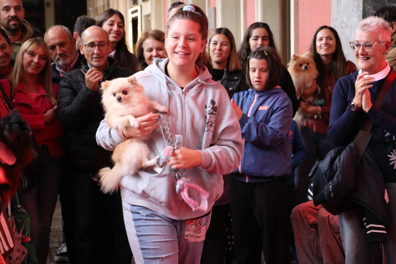 Más de medio centenar de perros pomerania desfilan en la Plaza Mayor de León