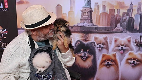 Más de medio centenar de perros pomerania desfilan en la Plaza Mayor de León