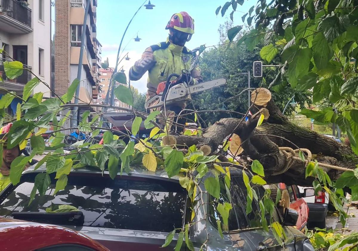 Imagen del árbol caído sobre el coche.