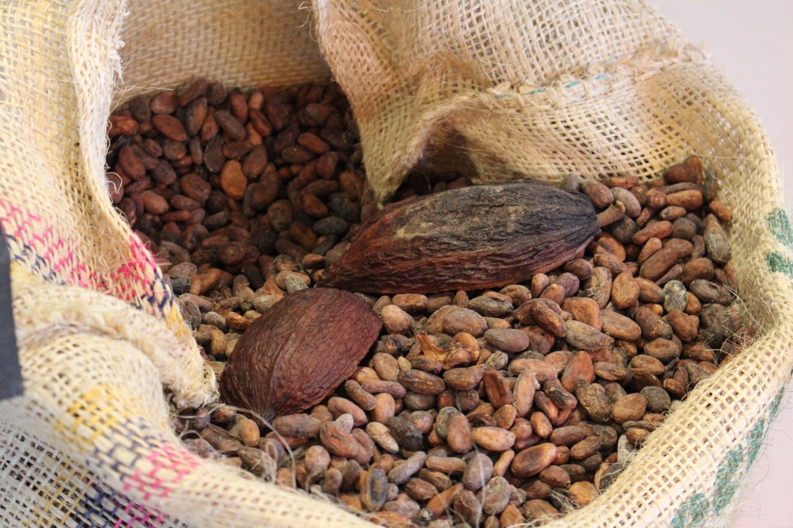 Inauguración de la 30 Feria de Productos de León