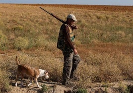 Un cazador por el campo con su perro.