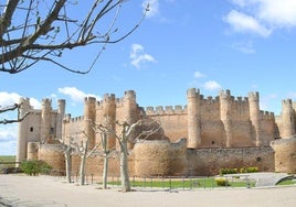 Castillo de Valencia de Don Juan.