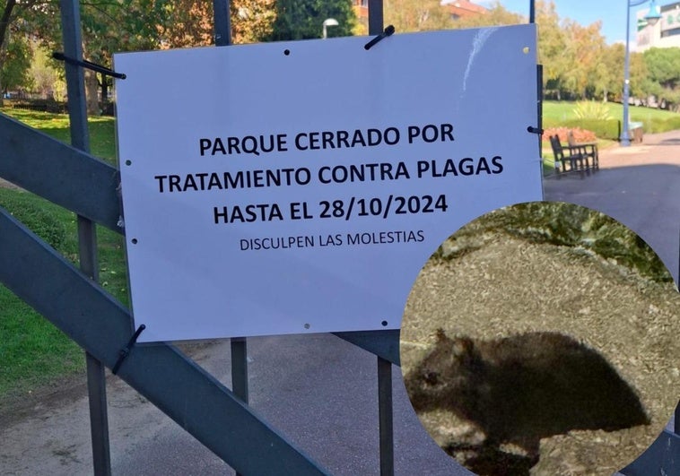 Cartel del parque cerrado y una rata vista por los vecinos.