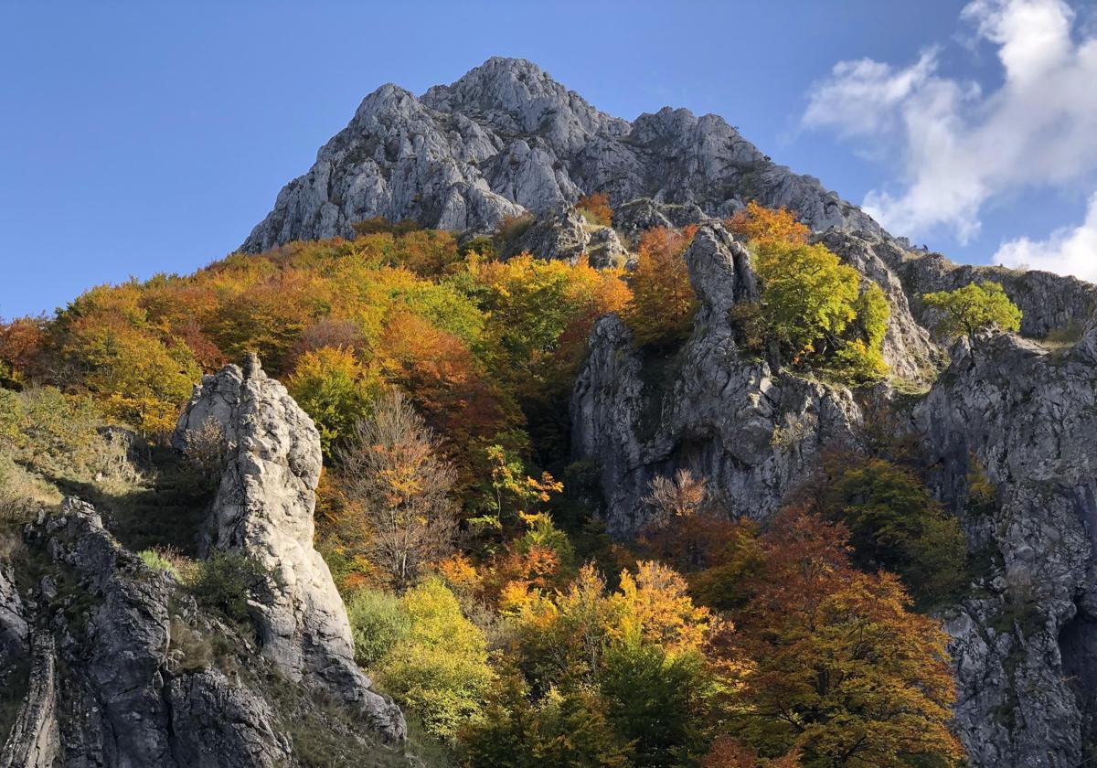 Los colores del otoño se dejan ver en la ribera del Curueño.