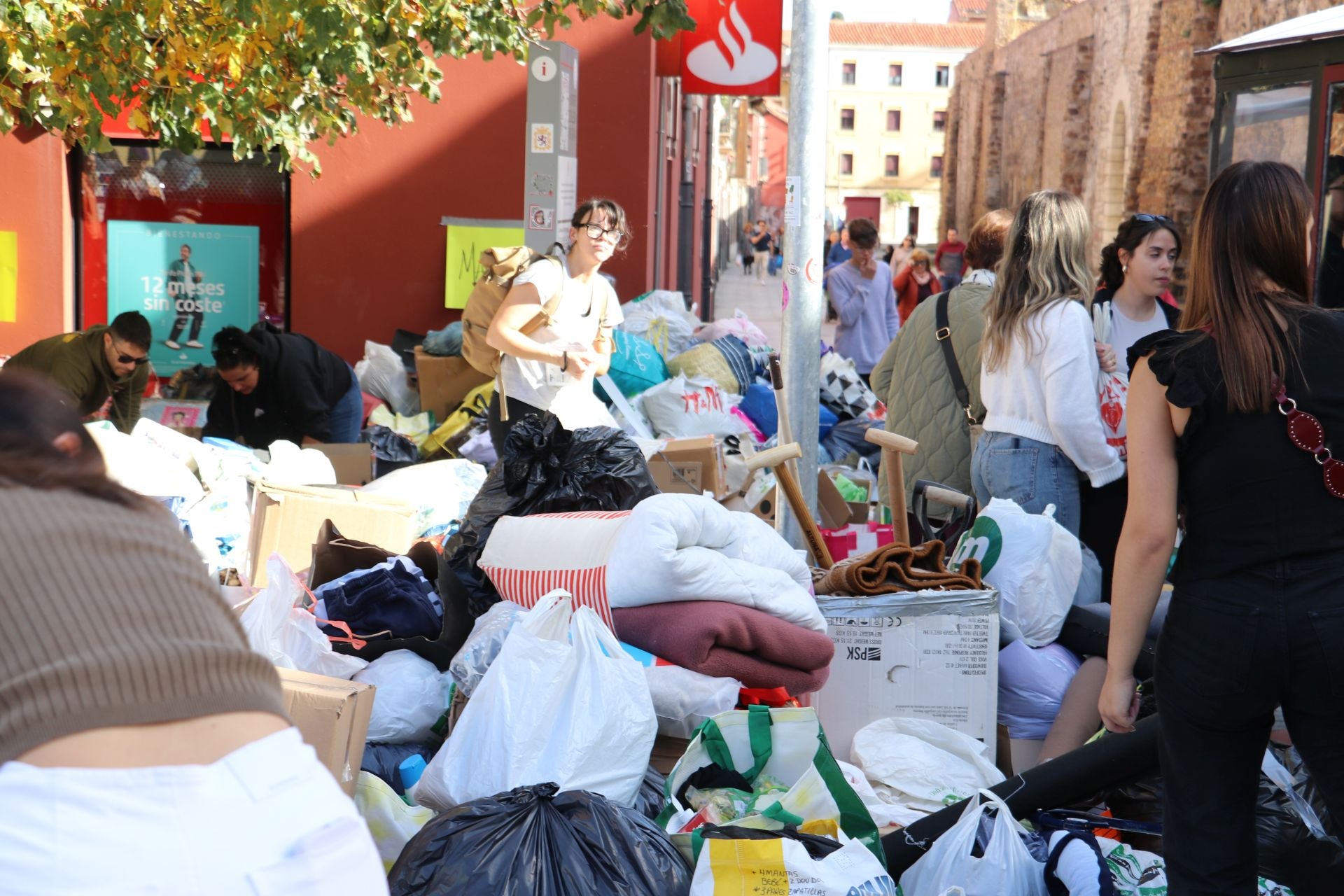 Recogida de alimentos y material en León