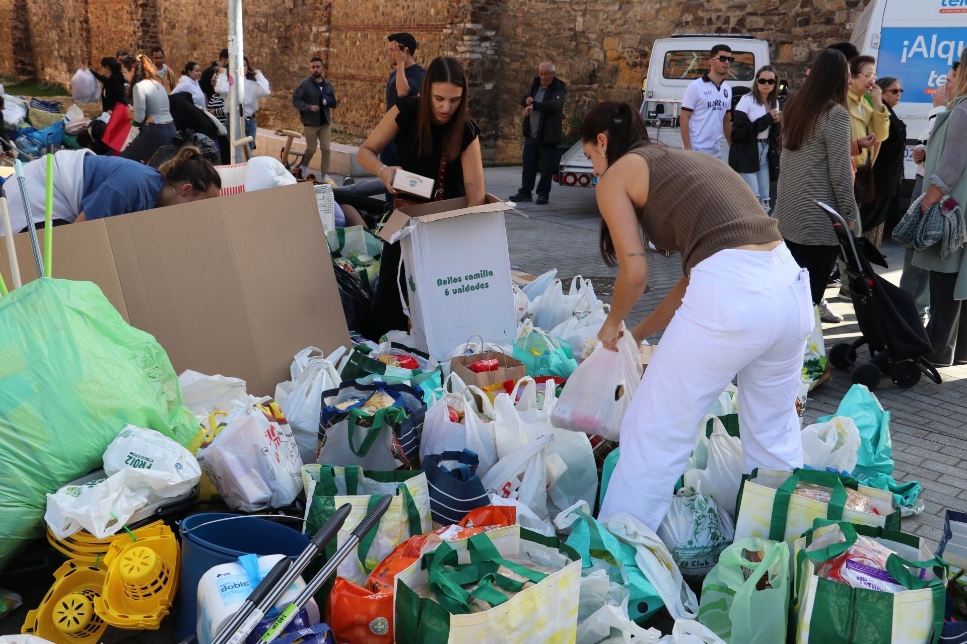 Recogida de alimentos y material en León