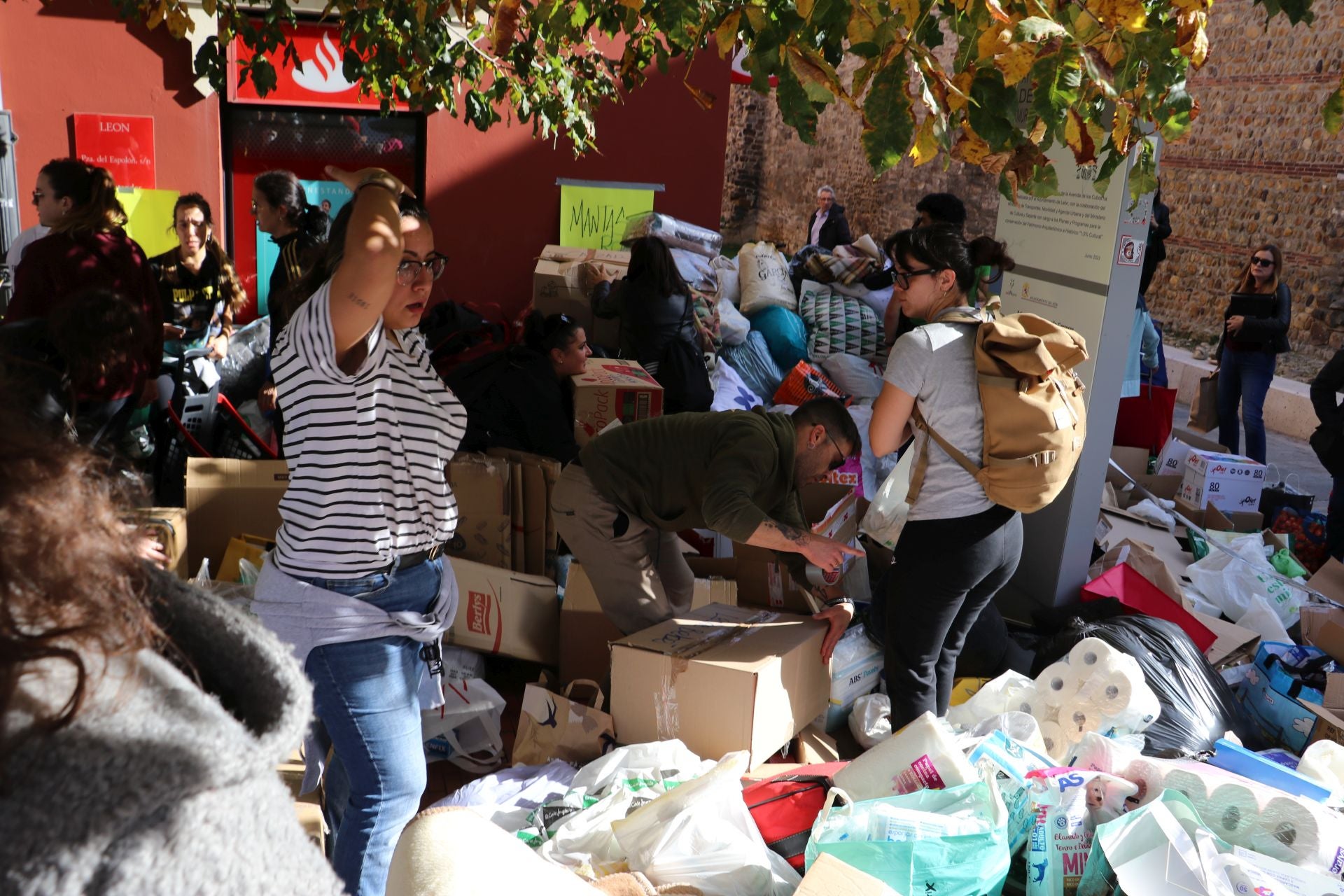 Recogida de alimentos y material en León