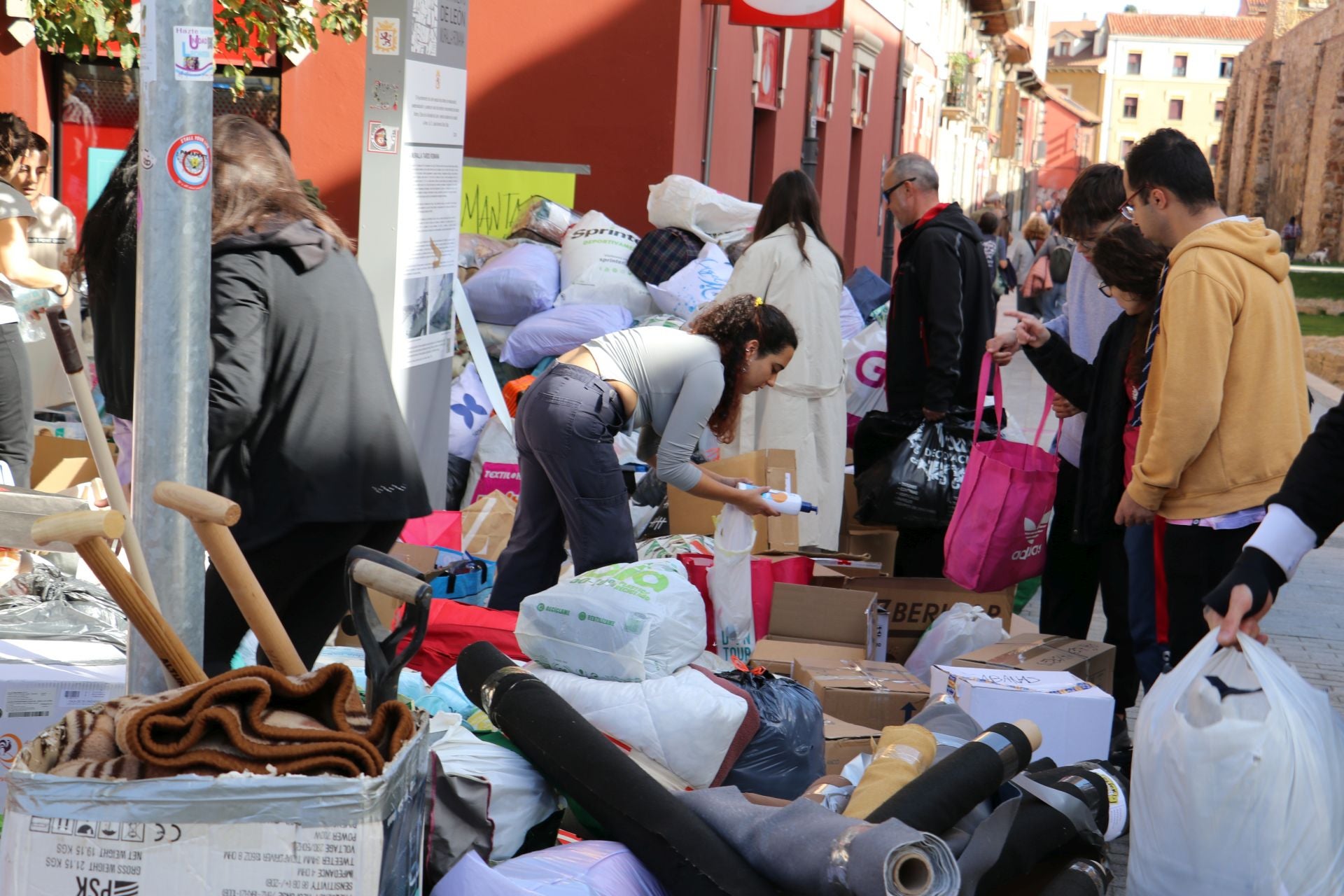 Recogida de alimentos y material en León