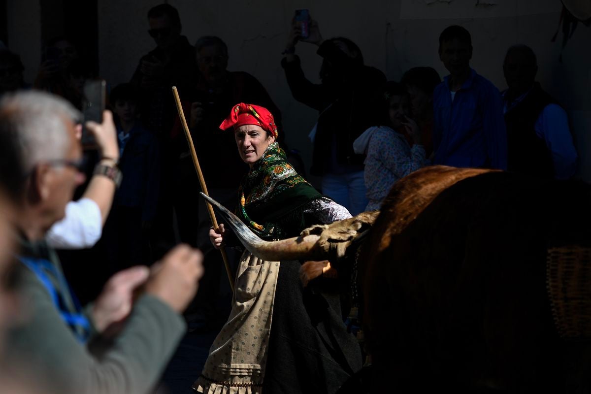 Tercer premio, «Fuerza»