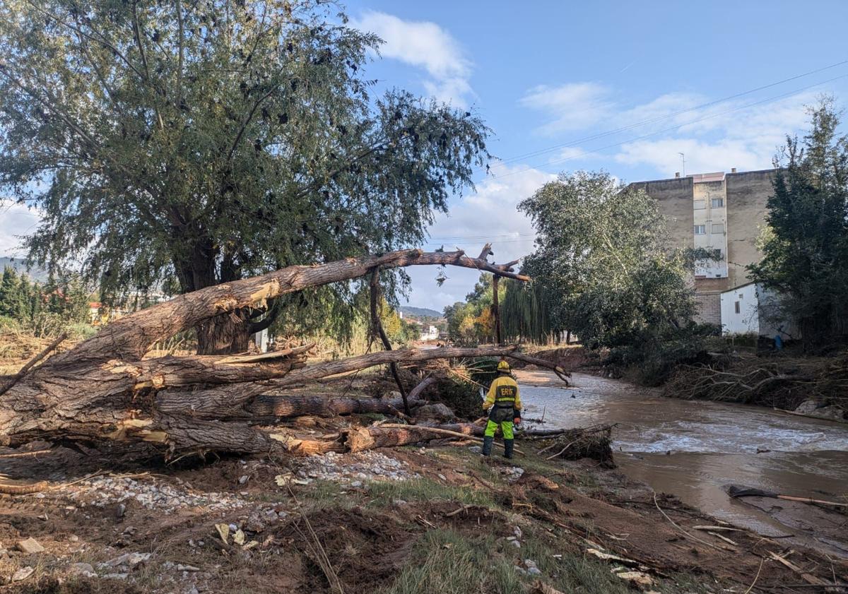 Imagen principal - Imágenes de los bomberos forestales de la Brif Tabuyo.