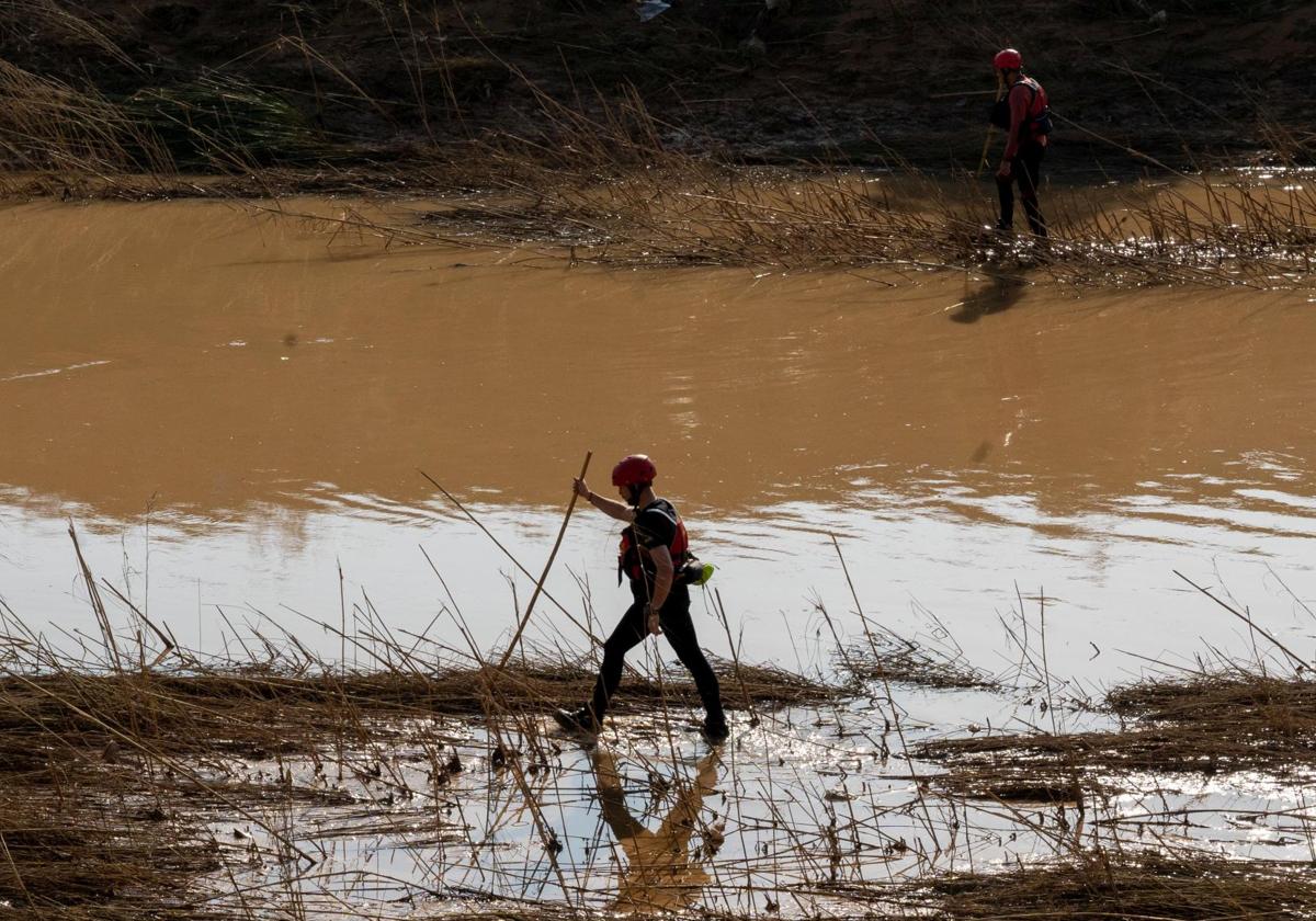 Trabajos de la UME en La Albufera.