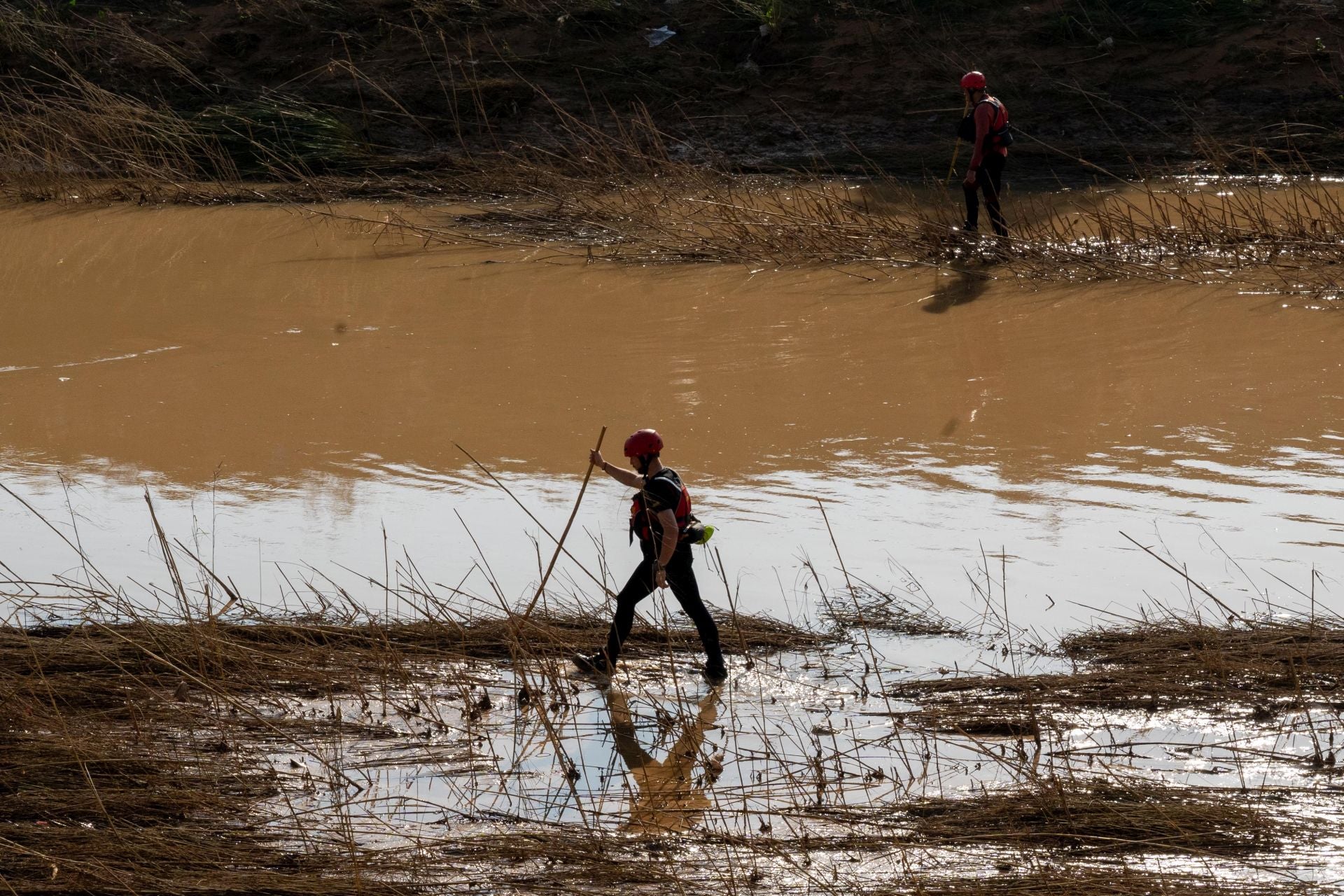 La UME rastrea La Albufera en busca de desaparecidos por la dana